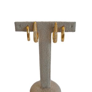 Duo Brinco Argola Oval Folheado A Ouro