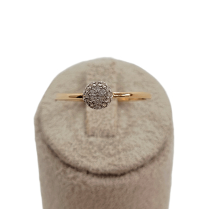 Anel Solitário Cravejado Microzircônia Folhedo a Ouro nº22